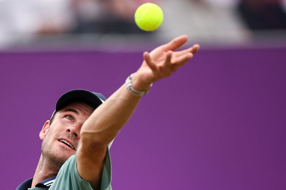 上海队需要 上海队需要